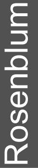 img143749153_38.jpg